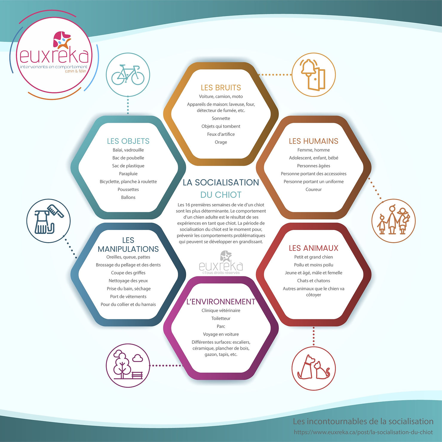 La socialisation du chiot