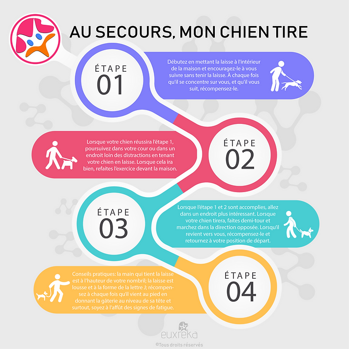 Ah! La marche en laisse! Que du plaisir et de la joie partagés!!  